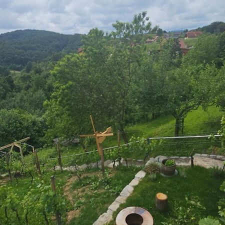 Zidanica Muhic Villa โดเลนิสเก ทอปลิตเซ ภายนอก รูปภาพ