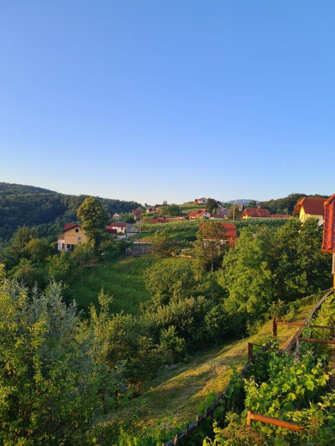 Zidanica Muhic Villa โดเลนิสเก ทอปลิตเซ ภายนอก รูปภาพ